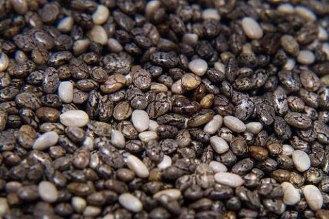 بذور الشيا..غذاء حضارة المايا