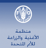 فاو: تجاوز ندرة المياه في الدول العربية يتطلب 100 بليون دولار استثمارات