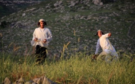 مستوطنون يهاجمون فلسطينياً في قلقيلية