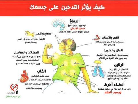 تحذيرات من التدخين عقب الإفطار مباشرة