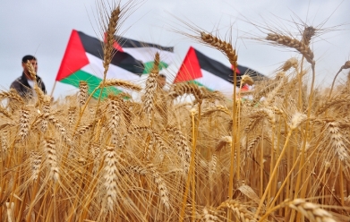الأجندة المحلية في نشرة صباح  فلسطين