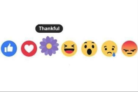 ماذا تعني الزهرة البنفسجية التي أطلقها 