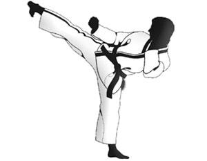 الكاراتيه يخلص طفلة من مرض نادر!