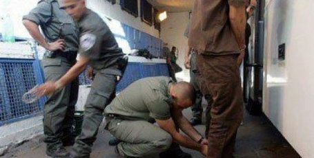 الاحتلال يعيد الاسير مسالمة الى معتقل ايشل