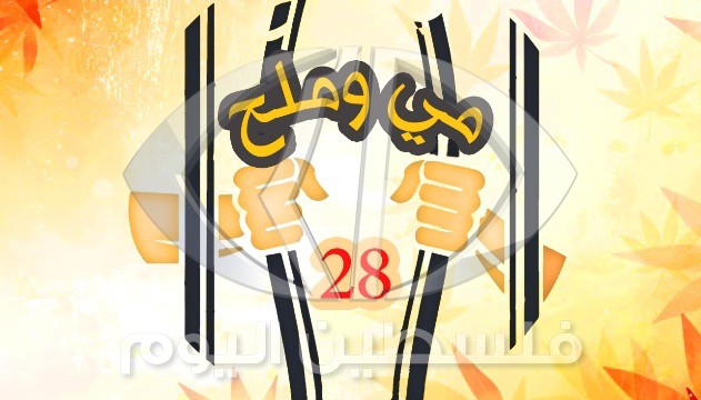 لليوم الـ28.. إضراب الكرامة متواصل