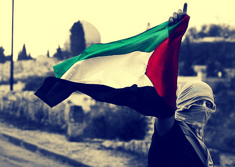 الأجندة المحلية في نشرة صباح  فلسطين