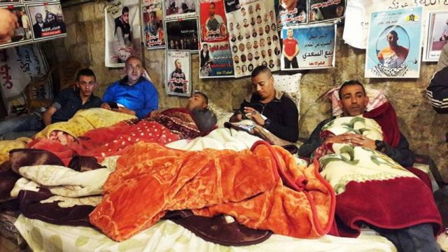 جنين.. عدد من أهالي الأسرى يضربون تضامناً معهم