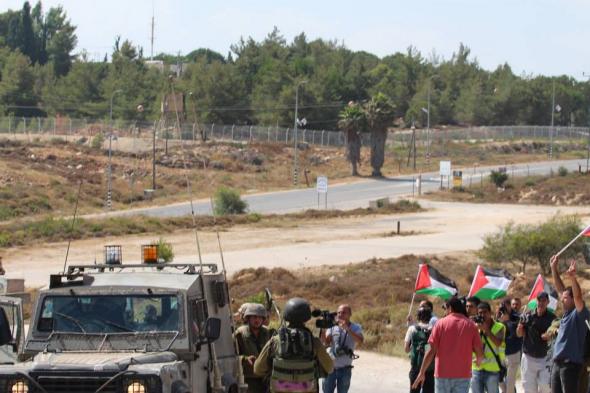 قوات الاحتلال تقتلع 120 شجرة نخيل شمال أريحا