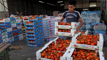 ستيباشين: فلسطين مستعدة لتصدير الخضروات والفواكه لروسيا