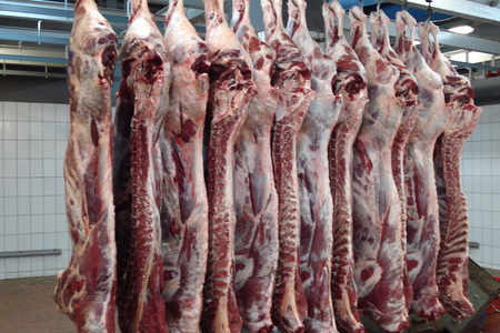 انخفاض اسعار اللحوم الطازجة في غزة إلى الثلث 
