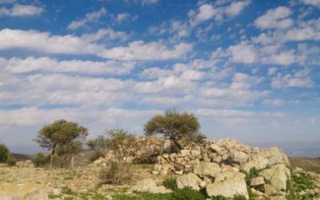 الحرارة حول معدلها السنوي