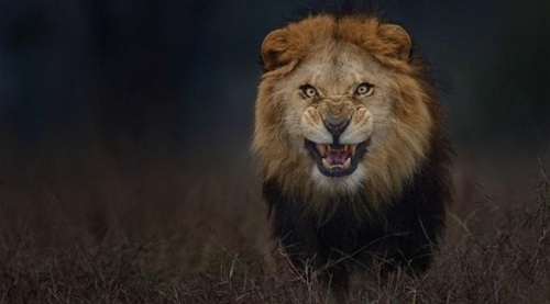 ترجّل من سيارته لأجل 