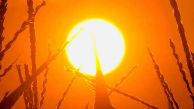 الطقس: الحرارة أعلى من معدلها بحدود 7 درجات