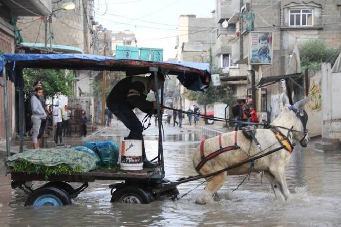 الأمطار في غزة تتجاوز 109% من المعدل العام لمحافظات القطاع