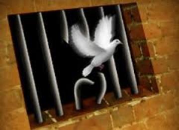 الاحتلال يرفض استئناف الأسير أحمد نصر 