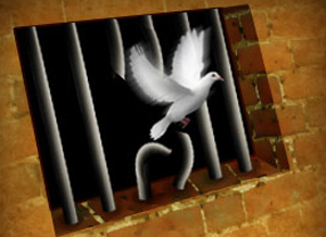 الاحتلال يمدد اعتقال الأسيرة أمينة الغلبان