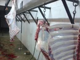 إغلاق متجر للحوم في سوق رفح لمخالفته الشروط