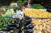 تواصل انخفاض أسعار الخضروات في غزة