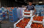ستيباشين: فلسطين مستعدة لتصدير الخضروات والفواكه لروسيا