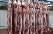 انخفاض اسعار اللحوم الطازجة في غزة إلى الثلث 