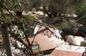 الاحتلال يهدم منشأتين زراعيتين في قلقيلية