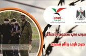 شبير: تحويل وزارة الأسرى لمنظمة التحرير الغاء لميزانيتها 