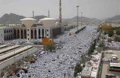 اكتمال اعمال تفويج الحجاج من المدينة إلى مكة