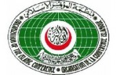 منظمة التعاون الإسلامي تدعو المجتمع الدولي لوقف العدوان الإسرائيلي على غزة 
