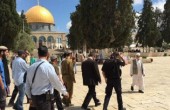 مستوطنون يقتحمون ساحات الأقصى من جهة باب المغاربة