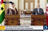 ظريف: العلاقات مع افريقيا تحظى بأهمية كبيرة لنا