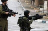 اعتقال شاب بذريعته حيازته سكيناً شمال القدس