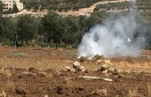 مواجهات بين قوات الاحتلال والمواطنين في تقوع جنوب بيت لحم