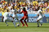 الصحف الجزائرية تهاجم مدرب الخضر وتصفه بالكاذب