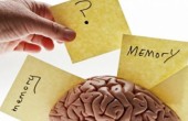 11 نوعا من الطعام يساعد على تقوية الذاكرة وتحسين المزاج