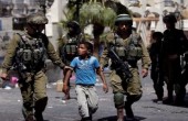 نادي الأسير: 500 فلسطيني حصيلة اعتقالات الاحتلال في الخليل منذ أكتوبر
