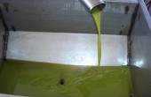 زيت الزيتون الفلسطيني يصل لأعلى سعر له منذ 6 سنوات