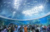 الصين تفتتح أكبر متحف مائي في العالم