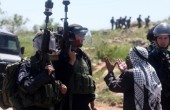 الاحتلال يمنع المزارعين من حصاد القمح في نابلس