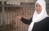 الاحتلال يفرح اليوم عن الاسيرة رسمية بلاونه