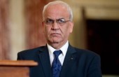 عريقات يدعو دول العالم لمعاقبة الاحتلال على انتهاكاته بحق الفلسطينيين