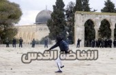 35 يوماً على انتفاضة القدس.. 75 شهيداً وأكثر من 2368 إصابة بالرصاص