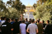 بكيرات: الاحتلال يستغلّ موسم الأعياد لتنفيذ مخططه بشأن الأقصى