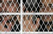أسيران يدخلان أعواما جديدة في سجون الاحتلال