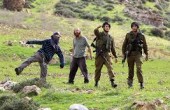 مستوطنون يعتدون على عامل فلسطيني قي سهول مدينة الطيبة 