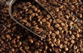 فك الشفرة الجينية للقهوة