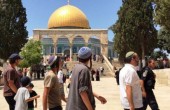 86 مستوطناً يقتحمون المسجد الأقصى من باب المغاربة