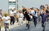 مستوطنون يقتحمون مستوطنة مخلاة جنوب جنين