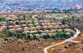 تقرير: اليمين 