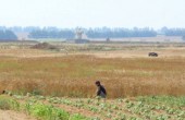 الاحتلال يستهدف المزارعين شرق مدينة غزة