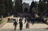 50 ألف مواطن يؤدون الصلاة في الأقصى
